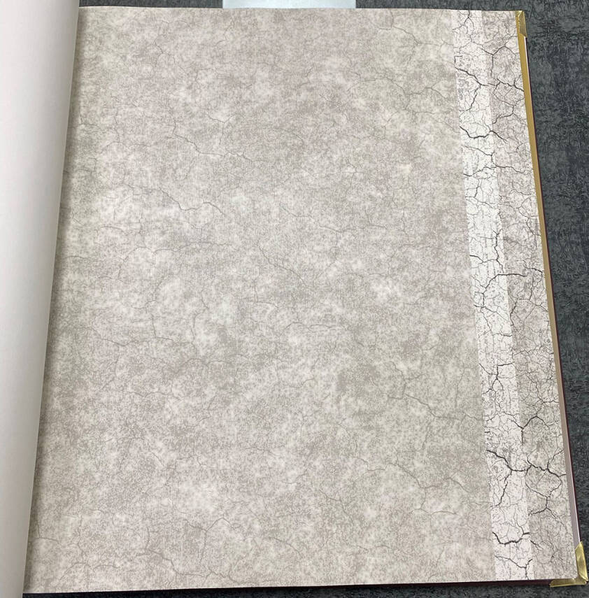 Vision Duvar Kağıdı 2403-1 - 1