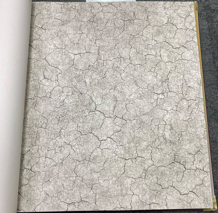 Vision Duvar Kağıdı 2403-2 - 1