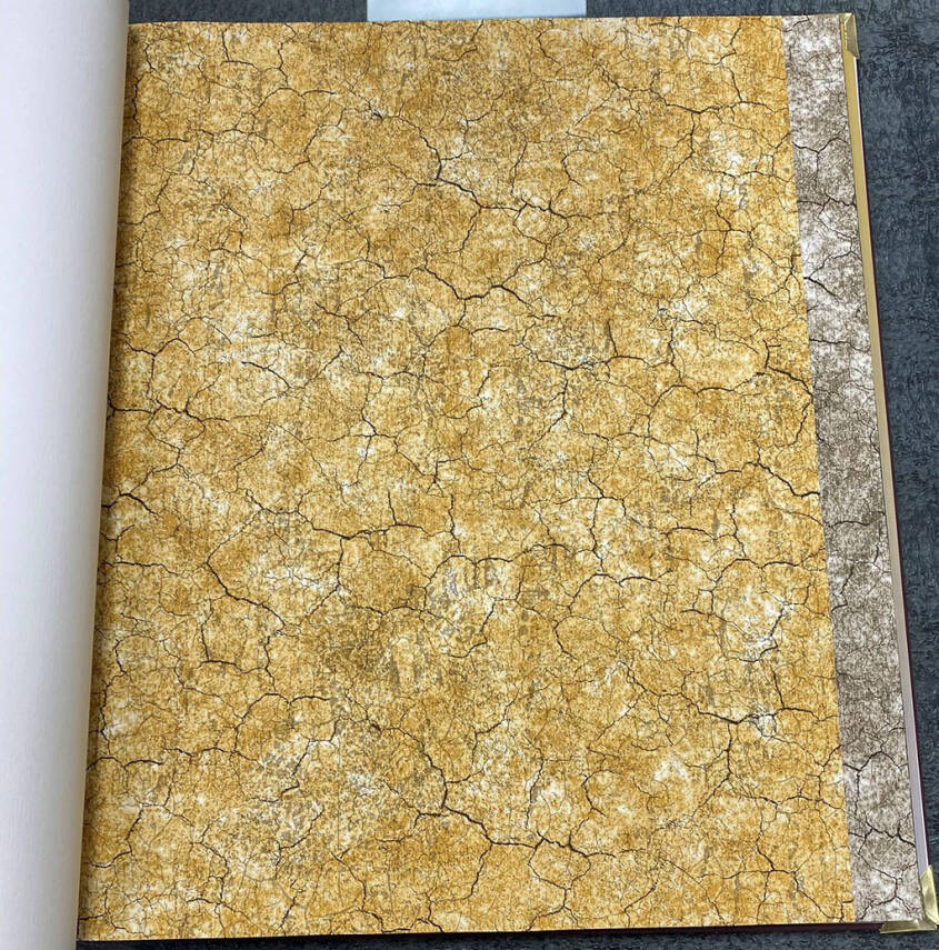 Vision Duvar Kağıdı 2403-4 - 1