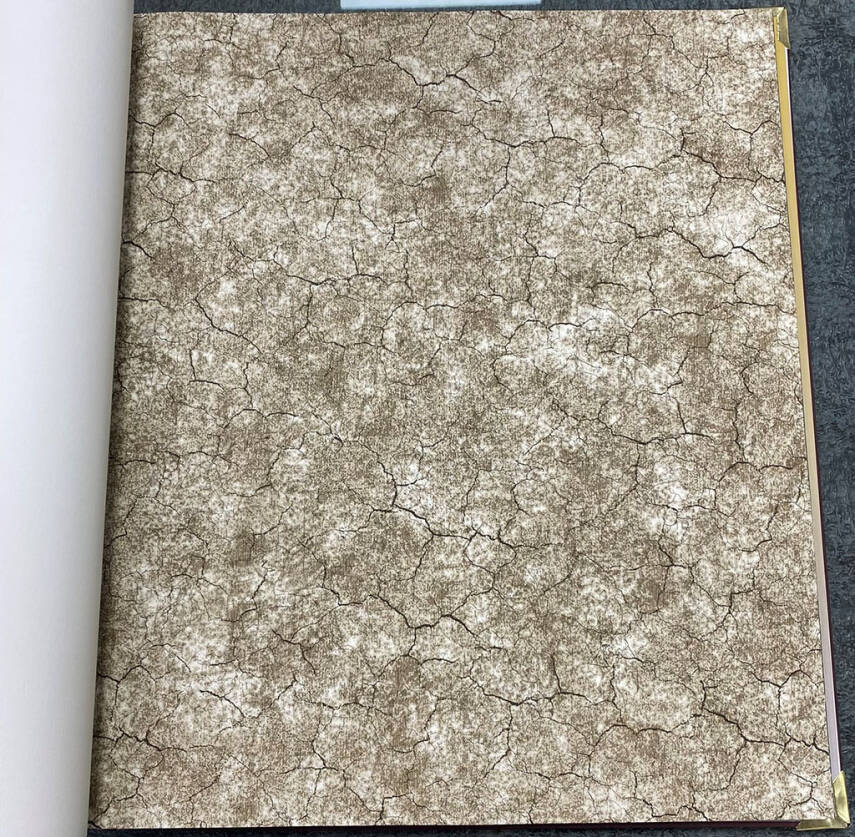 Vision Duvar Kağıdı 2403-5 - 1